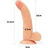 Set Strap-On si Dildo Easy Ingen Thumb 4