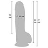 Hidden Desire Dildo Realist Din PVC 25 cm, Ergonomic Thumb 4