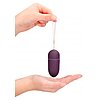 Vibrator 10 Speed Remote Vibrating Egg Big Mov Thumb 1