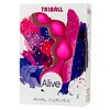 Bile Anale Amuse-G Triball Roz Thumb 1