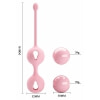 Bile Vaginale Pretty Love Kegel Tighten Up I Roz Thumb 3