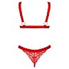 Set Obsessive Elianes 2 Piese Roșu XL-2XL Thumb 1