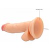 Vibrator Realistic Penis 15cm Thumb 9