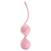 Bile Vaginale Pretty Love Kegel Roz