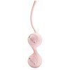 Bile Vaginale Kegel Tighten Up I Roz