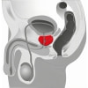 Vibrator Bărbați Pentru Prostată Twister Negru Thumb 9