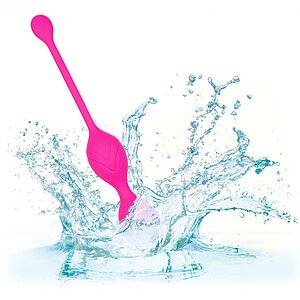 Bile Vaginale Dual Motor Kegel System Roz
