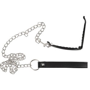 Clema Intimă cu Lesă Bad Kitty – Metalică 11 cm Negru Clema Intimă cu Lesă Bad Kitty – Metalică 11 cm Negru pe Domnisoare.ro