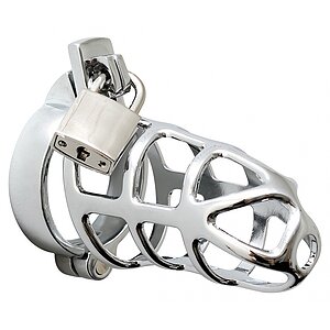 Cușcă Penis Male Chastity Device Argintiu Cușcă Penis Male Chastity Device Argintiu pe Domnisoare.ro