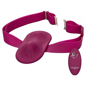 Dual Rider Masator Telecomandă Reîncărcabil Mov pe Domnisoare.ro
