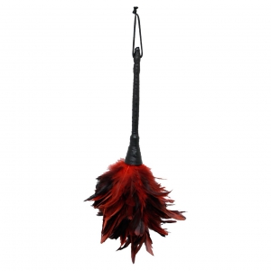 Frisky Feather Duster Roșu Frisky Feather Duster Roșu pe Domnisoare.ro