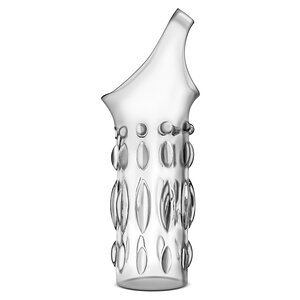 Manșon Penis Performance Studed Transparent