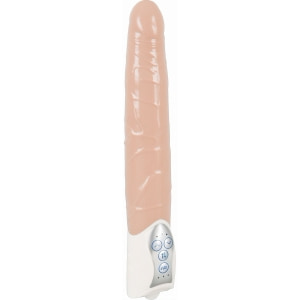Penis Artificial Cu Vibrații Push It! Penis Artificial Cu Vibrații Push It! pe Domnisoare.ro