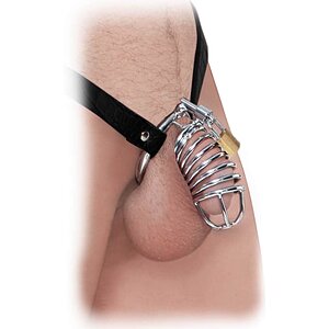 Cușcă Penis Castitate Fetish Fantasy Argintiu Cușcă Penis Castitate Fetish Fantasy Argintiu pe Domnisoare.ro