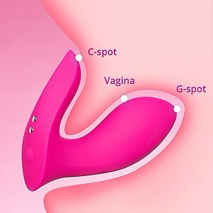 Lovense Flexer Insertable Dual Panty Vibrator Roz