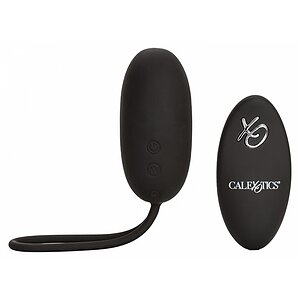 Remote Rechargeable Egg Negru Remote Rechargeable Egg Negru pe Domnisoare.ro
