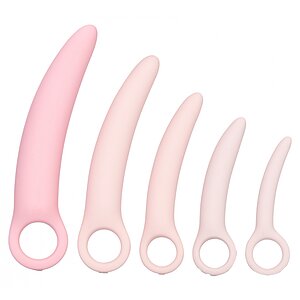 Set Dilatatoare Genitale Inspire Silicone Roz pe Domnisoare.ro