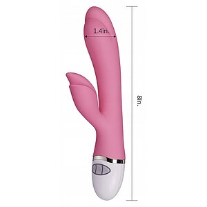 Vibrator Rabbit Lovetoy Dreamer II Roz