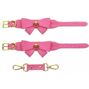 Taboo Ankle Cuffs Roz