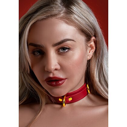 Zgardă D-Ring Collar Deluxe Roșu